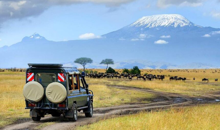 How much does a safari trip cost?