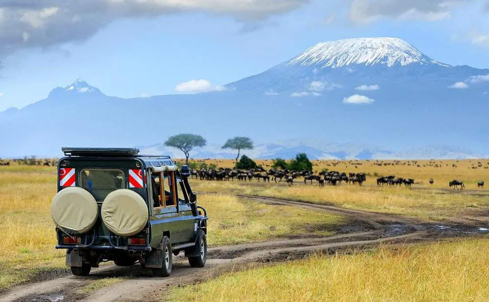 Amboseli National Park with Mount Kilimanjaro