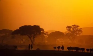 3-Day Luxury Maasai Mara Safari with Hot Air Balloon Experience