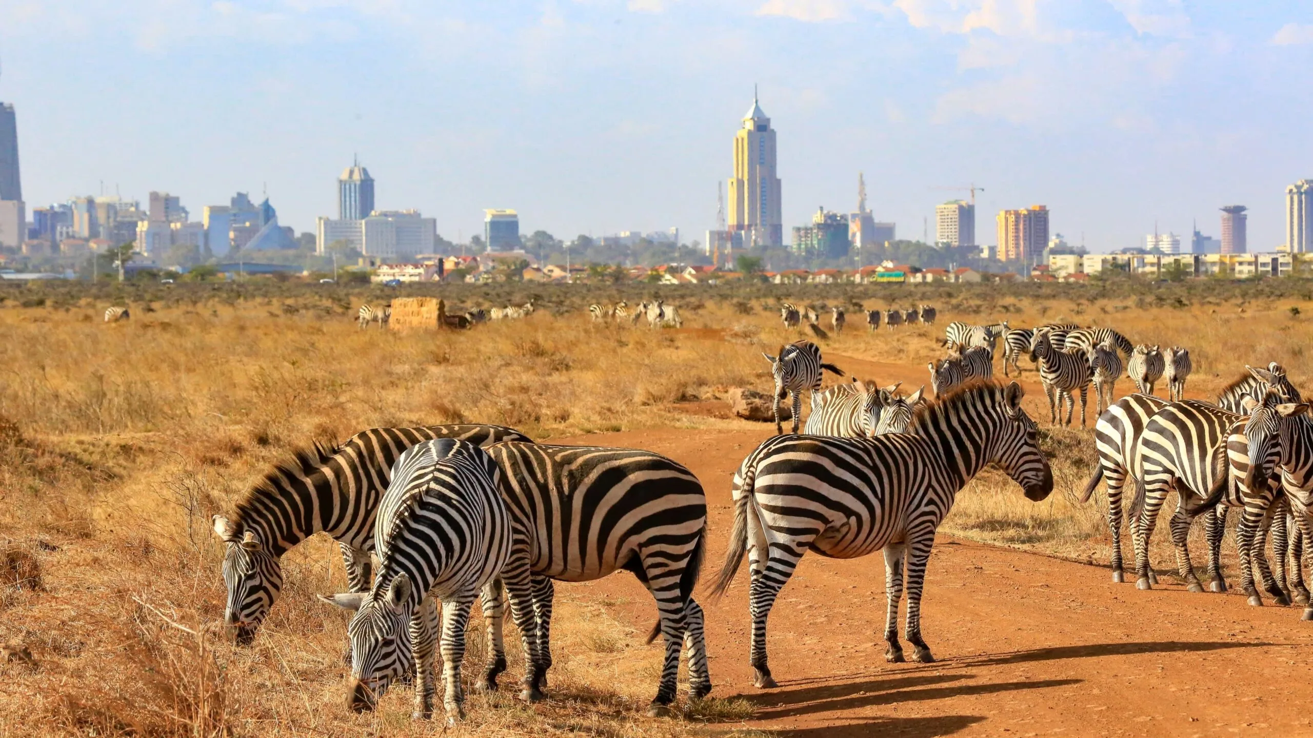 Nairobi National Park with city skyline
