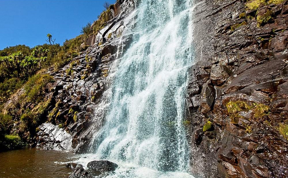 Lush highland forest and moorland scenery inside Aberdare National Park, Kenya