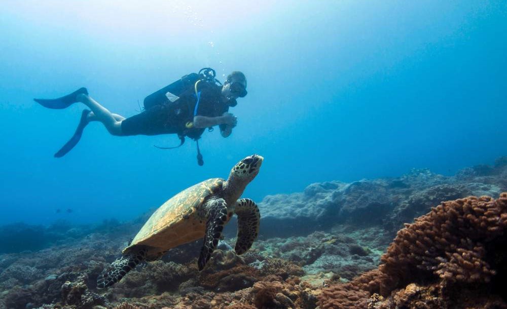 Pristine white sands and turquoise waters of Diani Beach on Kenya's Indian Ocean coast
