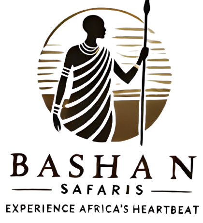 Bashan Safaris