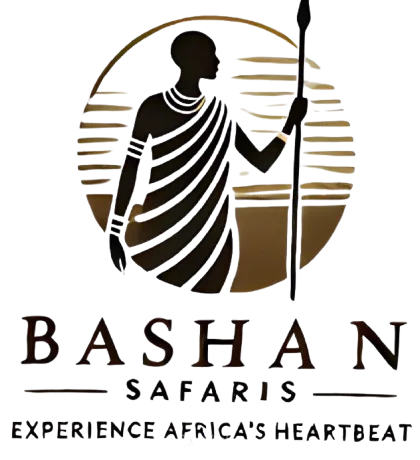 Bashan Safaris