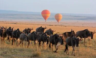 7-Day Classic Kenya Safari